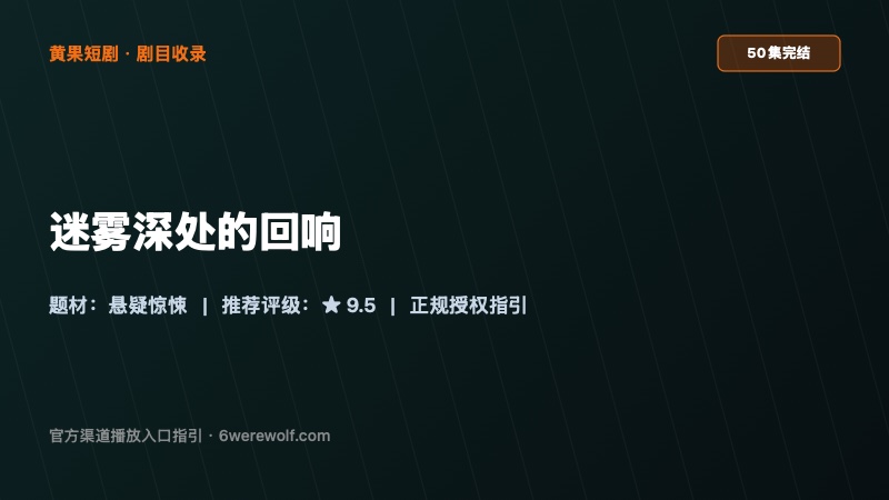 《迷雾深处的回响》