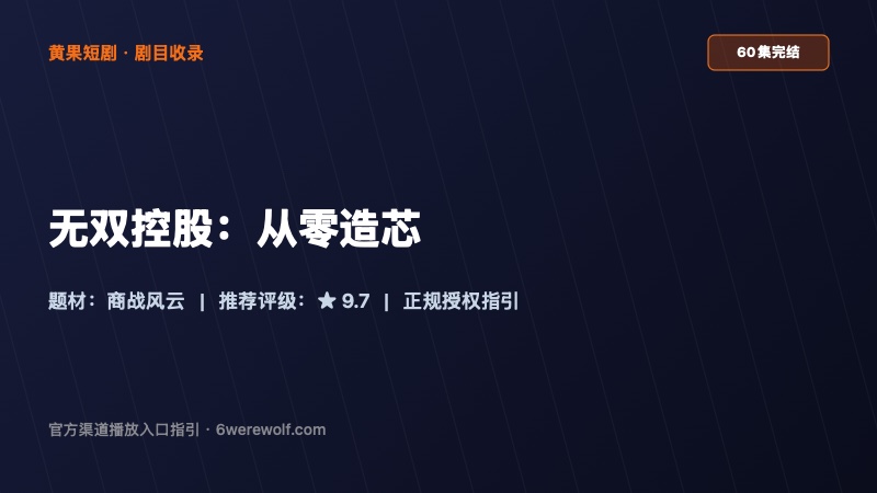 《无双控股:从零造芯》